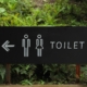 toilet signage beside green leaf